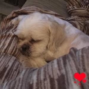 Meet your Posher, April